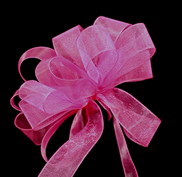 Sheer Ribbon - Organdy ribbon from American Ribbon